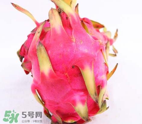 火龙果是酸性还是碱性？火龙果盆栽种植方法