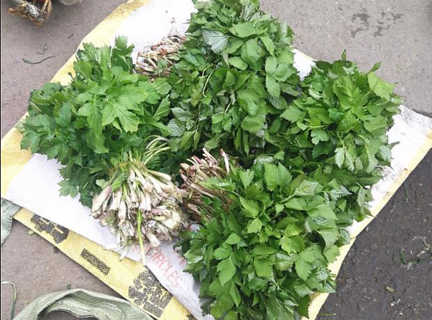 水芹菜是什么样的 水芹菜有什么营养价值