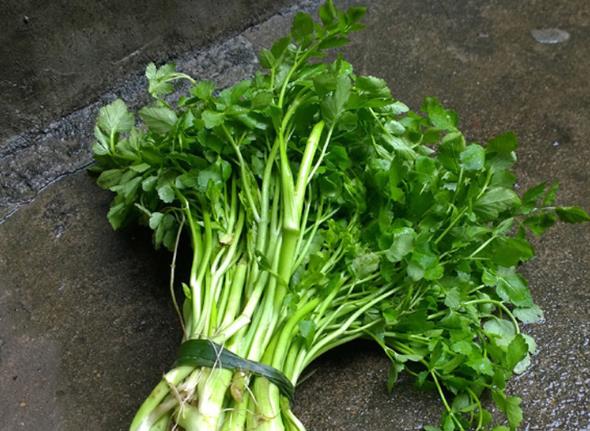 水芹菜是什么样的 水芹菜有什么营养价值