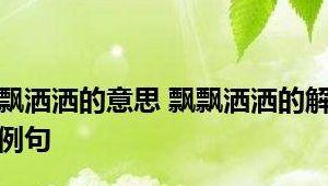 飘飘洒洒的意思（飘飘洒洒怎么读）