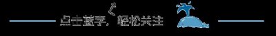 ​刺猬因压力太大，秃顶了…… 网友：盘它！