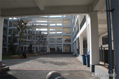 《大树校园行》之河南司法警官职业学院