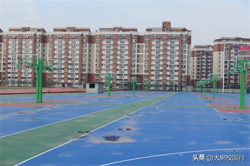 《大树校园行》之河南司法警官职业学院