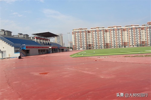 《大树校园行》之河南司法警官职业学院
