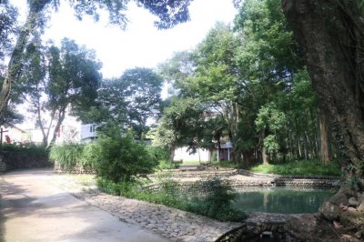 ​西湖乡小江村：古村焕新貌 美景入画来