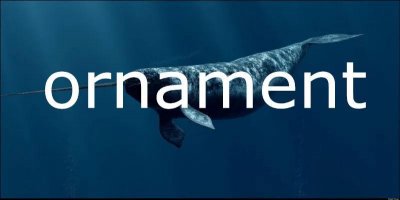 ​每日单词：ornament