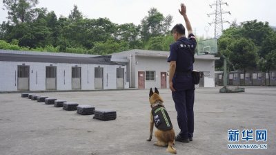 ​「国际禁毒日」能辨别六种以上毒品 缉毒“神探”这样炼成