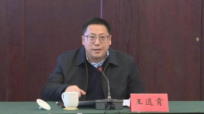 ​权力坠落：王逍霄被查，反腐败斗争中的警钟为谁而鸣？