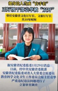 ​10 年来落马的一些国内女官员