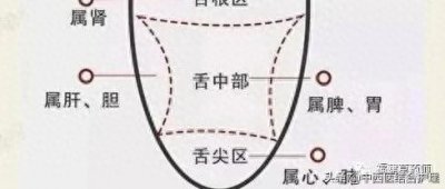 ​「中医就诊科普」中医舌诊图谱来啦！看舌头，知全身