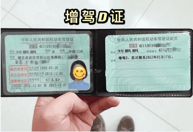 c1d驾照能开什么车型（c1d驾照可以开什么车）