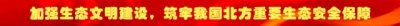 ​寮€蹇冨埌鈥滃妶鍙夆€濓紒