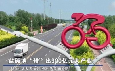 ​盐碱地上的童车奇迹：平乡县河古庙镇的华丽转身