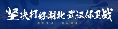 ​宁可床等人，不要人等床，武汉市属国企争分夺秒全力抢建“方舱医院”