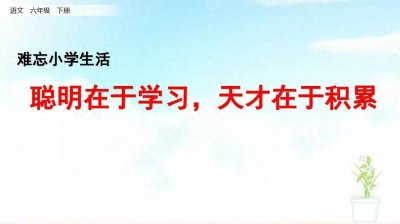 ​六年级语文下册第六单元《聪明在于学习，天才在于积累》课文解析