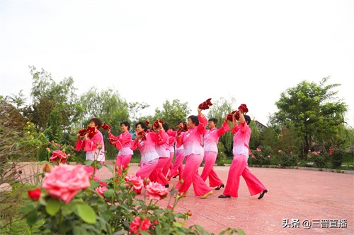 山西夏县：悠乐谷 水美草绿享清凉