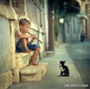 ​十条常用的社会经验