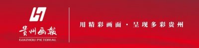 ​修文猕猴桃熟了，等你来盘它