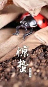 ​今日惊蛰“不一般”，老人说：5种人要“打小人”，有你吗？
