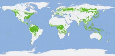 ​全球森林覆盖率前十国家排名