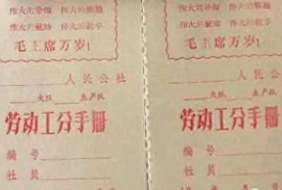 ​“一大二公”是“画地为牢”，“分田单干”是又一次解放