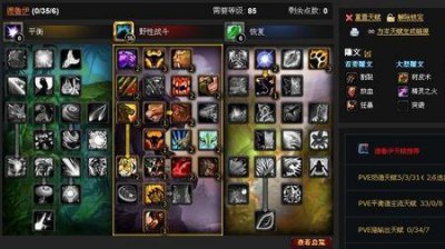 ​tbc小德什么天赋打战场
