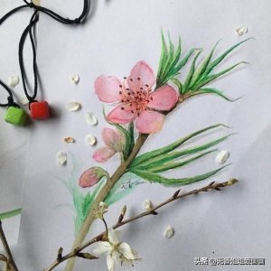 ​手绘有立体感的桃花，步骤简单，一看就会