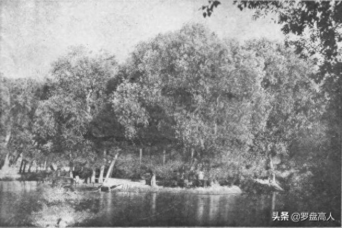 新疆老照片：1930年代的迪化（今乌鲁木齐）的景象