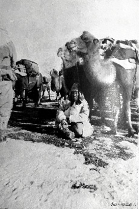 新疆老照片：1930年代的迪化（今乌鲁木齐）的景象