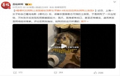 ​警惕土拨鼠宠物热潮背后风险