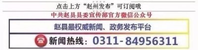 ​「媒体看赵县」搜狐网——天下赵州 魅力之城