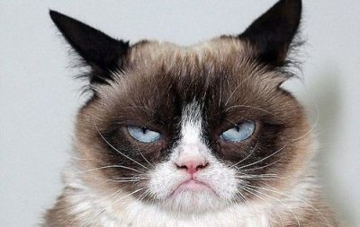 ​你听过一种叫“猫又”的妖怪吗？