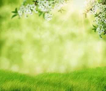 ​春季常见野菜，错过再等一年，抓紧吃！