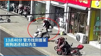 ​盘点最搞笑新闻：居然全部都是真人真事！绝了！无奇不有