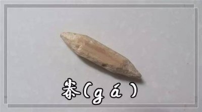 ​奤火了后，奀、躷、髞这些神奇字也蠢蠢欲动！
