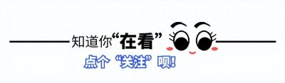 ​巩俐的大胆之作，上映前被删减了足足40分钟，作品依旧经典！