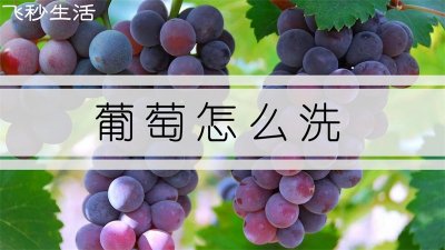 ​葡萄怎么洗