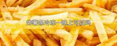 ​炸薯条冷冻一晚上可以吗