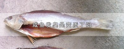 ​咸鱼发臭是变质了吗