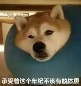​快看，2019年放假时间表来啦！