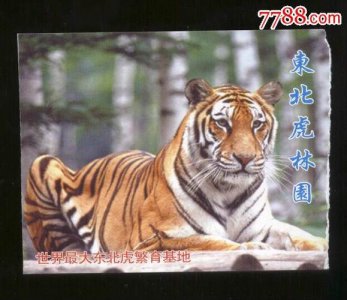 ​哈尔滨周边自驾游最值得去的地方