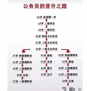 ​公务员的晋升之路：一场智慧与毅力的较量