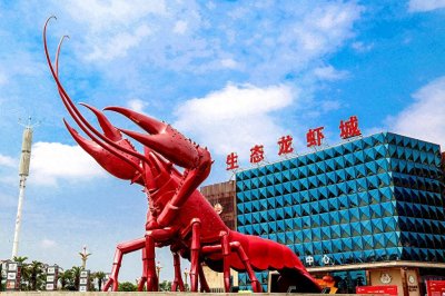 ​湖北省直管的县级市潜江市的小龙虾与优质大米，它们到底有多牛逼