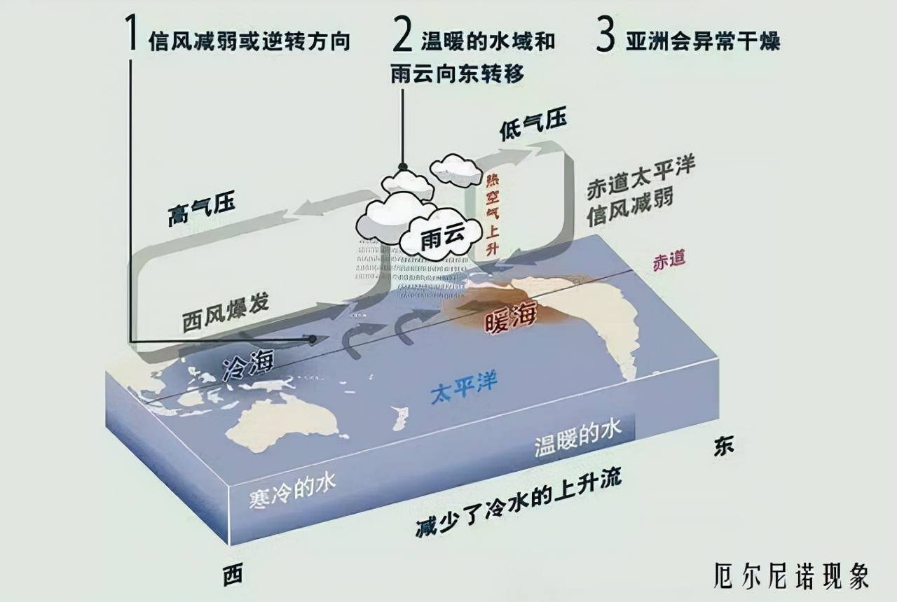 厄尔尼诺现象对中国的影响是什么(厄尔尼诺现象的影响)