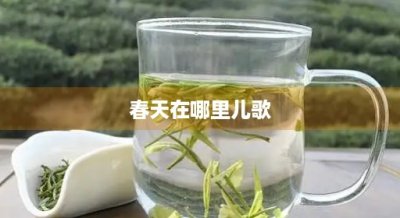 ​春天在哪里儿歌(春天在哪里儿歌视频原声视频)