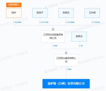 ​上层股东陆克平被立案调查 威创股份迎来跌停“两连板”