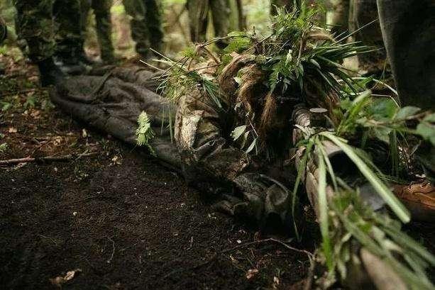 动物界中善于伪装的15种动物, 最后一个毫无争议夺冠