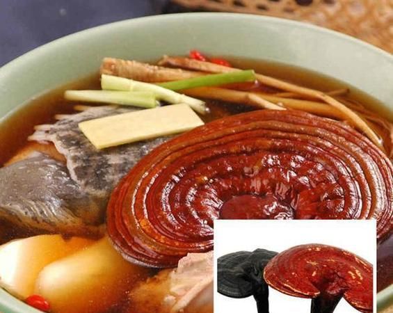 灵芝的功效与作用及食用方法，灵芝怎么吃
