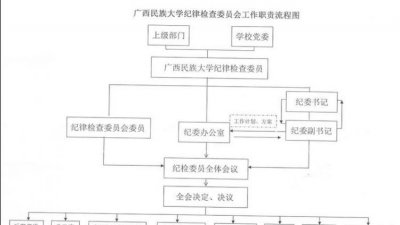 ​党的各级纪律检查委员会的职责是，党的各自自助检查委员会的职责是？