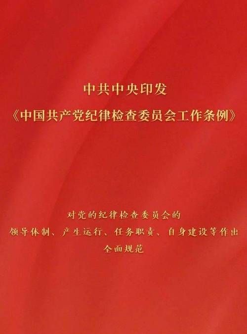 党的各级纪律检查委员会在党内监督方面有哪四项责任